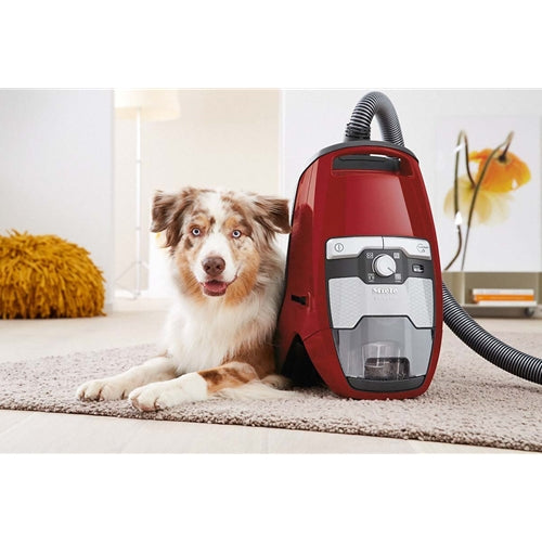 Miele HomeCare Blizzard CX1 PowerLine Bagless Canister, Ruby Red - SKCE0